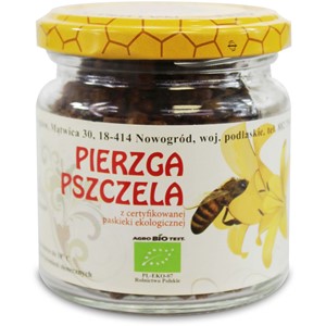 Pierzga