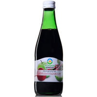 SOK JABŁKOWO BURACZKOWY NFC BEZGLUTENOWY BIO 300ml 7570