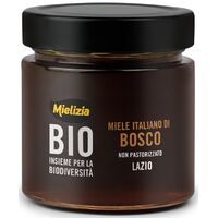 MIÓD NEKTAROWO SPADZIOWY LEŚNY BIO 300g 21602