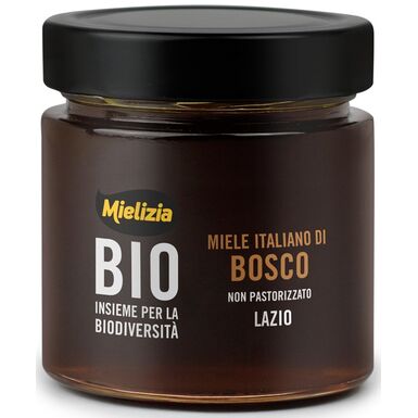 MIÓD NEKTAROWO SPADZIOWY LEŚNY BIO 300g 