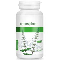 SKRZYP POLNY BIO 120 KAPSUŁEK (250 mg) 14404