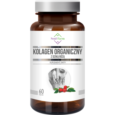 KOLAGEN RYBI Z DZIKĄ RÓŻĄ 60 KAPSUŁEK 