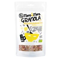 GRANOLA Z ANANASEM I BANANEM BIO 300g 28237