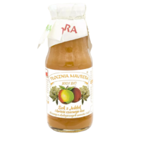 SOK JABŁKOWY Z KWIATEM CZARNEGO BZU NFC BIO 300ml 8647