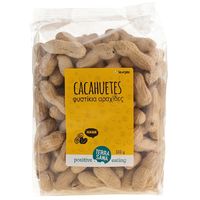 ORZESZKI ZIEMNE PRAŻONE W ŁUPINACH BIO 330g 13527