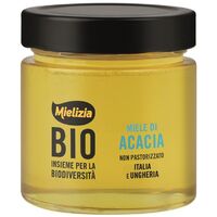 MIÓD NEKTAROWY AKACJOWY BIO 300g 21601