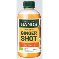 SHOT IMBIROWY Z KURKUMĄ BEZ DODATKU CUKRÓW BIO 300ml 25625