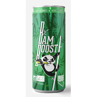 GAZOWANY NAPÓJ ENERGETYZUJĄCY BIO 250ml 15598