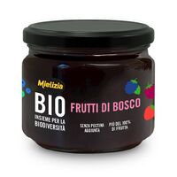 MUS Z OWOCÓW LEŚNYCH BIO 250g 26580