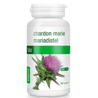 OSTROPEST PLAMISTY BIO 120 KAPSUŁEK (200 mg) 14402