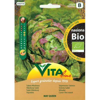 NASIONA SAŁATY MASŁOWEJ KAT.ST.(MAY QUEEN) BIO 0,5g 