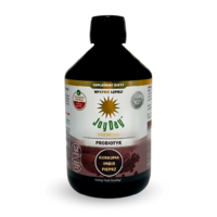 KONCENTRAT NAPOJU PROBIOTYCZNEGO KURKUMA IMBIR PIEPRZ BEZGLUTENOWY BIO 500ml 14708
