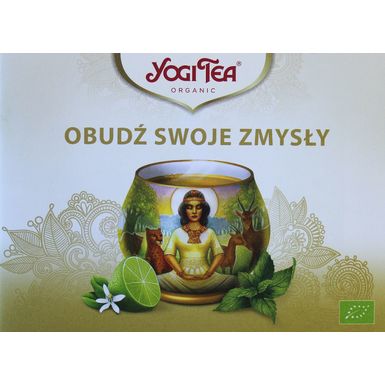 PAKIET MINI KATALOG YOGI TEA (ok. 25szt.)