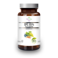 PESTKI WINOGRON EKSTRAKT 95 % OPC (450 mg) 60 KAPSUŁEK 11998
