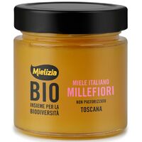 MIÓD NEKTAROWY WIELOKWIATOWY BIO 300g 21605