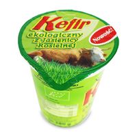 KEFIR BIO 380g 