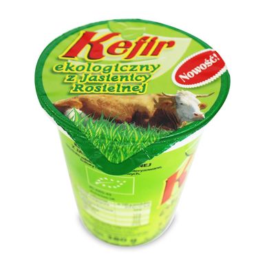 KEFIR BIO 380g 