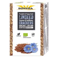 CHLEB LNIANY SUSZONY ZE SŁONECZNIKIEM BEZGLUTENOWY BIO 100g 16988