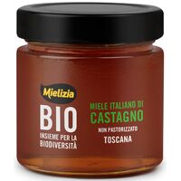 MIÓD NEKTAROWY KASZTANOWY BIO 300g 21603