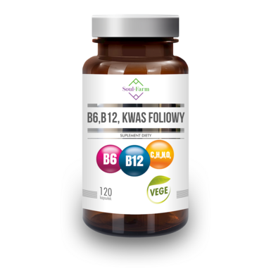 WITAMINA B6 + B12 + KWAS FOLIOWY 120 KAPSUŁEK 