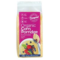 KASZKA KUKURYDZIANA BEZGLUTENOWA BIO 110g 13438