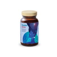 KAPSUŁKI NA ZWIĘKSZENIE ENERGII (BOOST ME NOW) 60szt. 20379