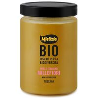 MIÓD NEKTAROWY WIELOKWIATOWY BIO 700g 21608