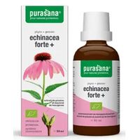 JEŻÓWKA PURPUROWA (ECHINACEA FORTE) KROPLE BIO 50ml 15844