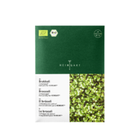 MATA Z NASIONAMI BROKUŁA BIO 16216