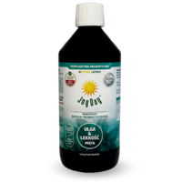 KONCENTRAT NAPOJU PROBIOTYCZNEGO MIĘTA BEZGLUTENOWY BIO 500ml 12983