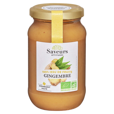 MUS JABŁKOWY Z IMBIREM BIO 310g 